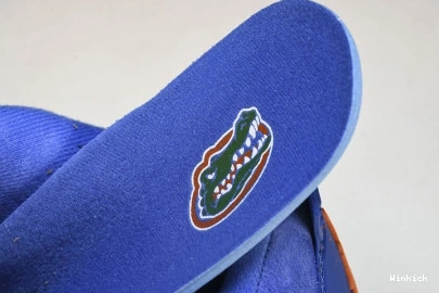 4  "Florida Jordan AJ4-904283 Gators" Air PE  1009